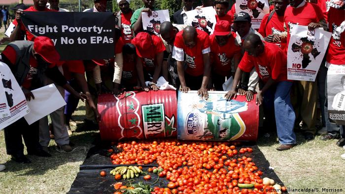 A group of protesters in red t-shirts roll two large drums over tomatoes spread on the ground.
