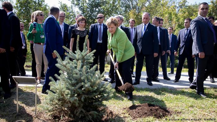 Merkel, Soykırım Anıtının bulunduğu alana ağaç da dikti.