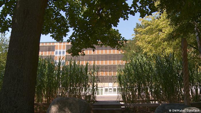 Foto: El edificio de la escuela visto entre cañas verdes