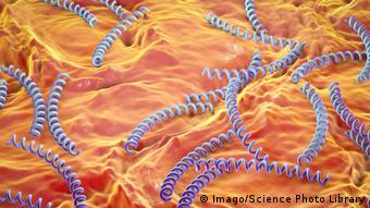 Imagen computacional de la bacteria Treponema pallidum.