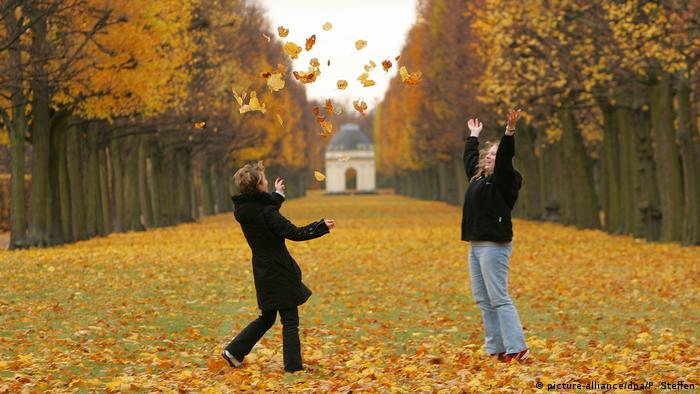 الخريف ينثر أوراقه ويكشف جماله في ألمانيا جميع المحتويات Dw