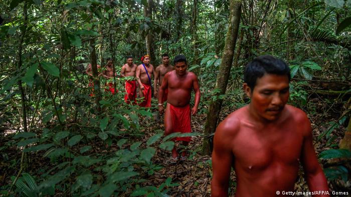 Men of the indigenous tribe Waiapi walk into the jungle
