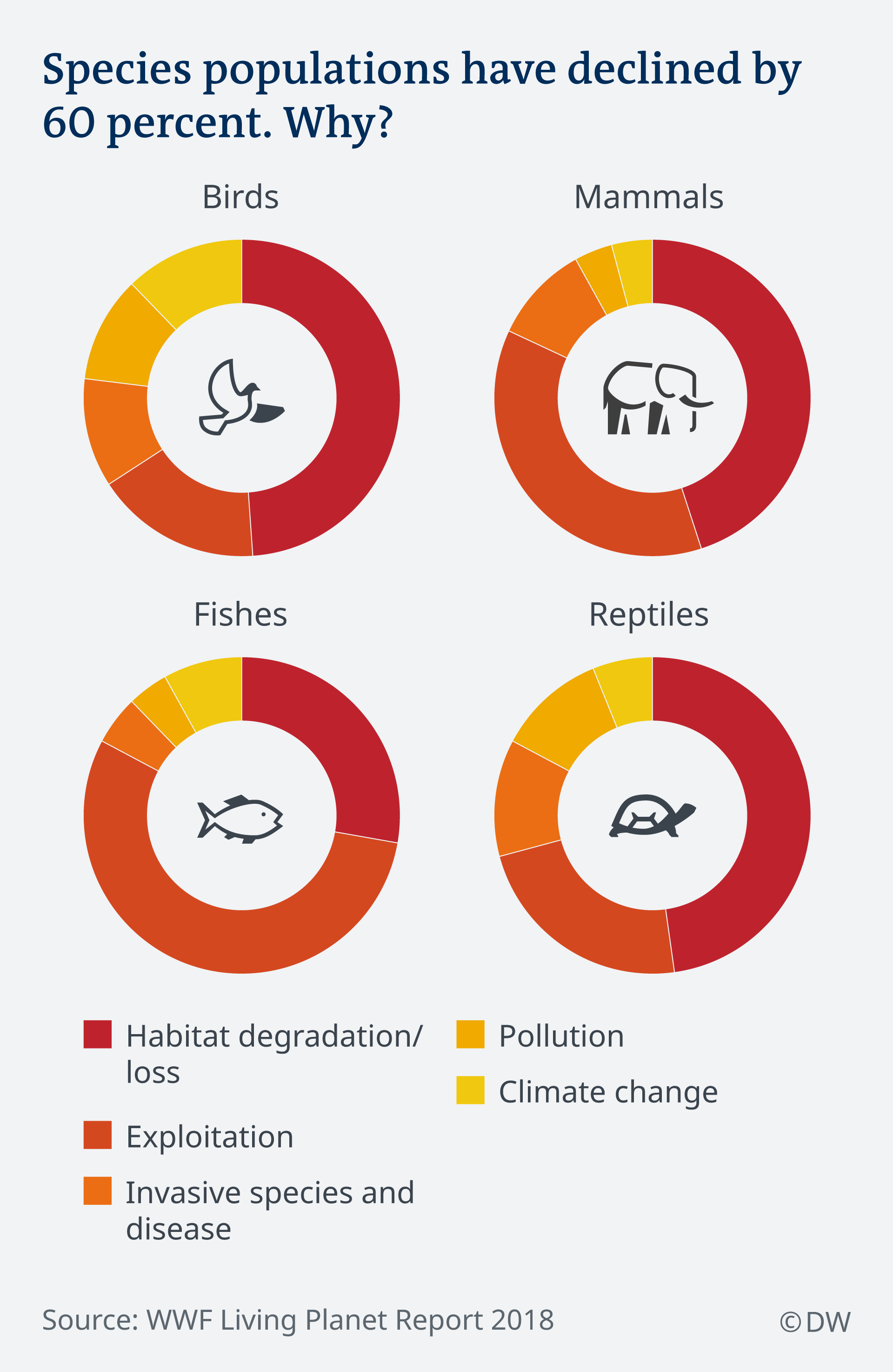 Infografik Schrumpfender Tierbestand EN