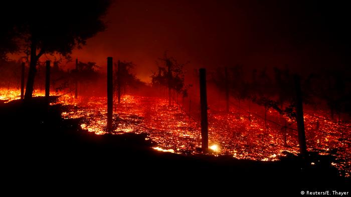 Waldbrände Kalifornien Thousand Oaks Weinberg (Reuters/E. Thayer)