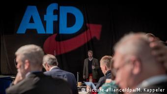 Deutschland AfD Parteitag in Magdeburg (picture-alliance/dpa/M. Kappeler)