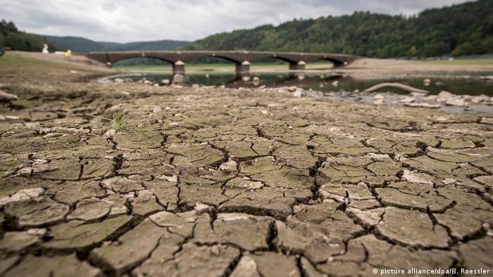 A dried up German river (picture alliance/dpa/B. Roessler)
