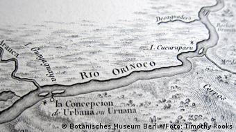 Desenho do rio Orinoco