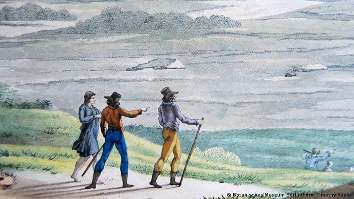 Alexander von Humboldt e sua equipe no Equador em 1801 