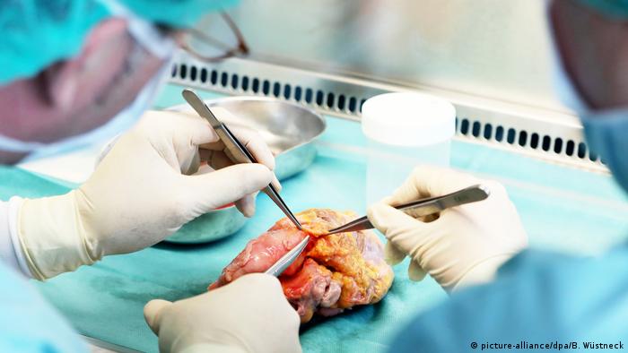 Germania ar putea avea o nou lege cu privire la donarea de organe (picture-alliance/dpa/B. Wüstneck)