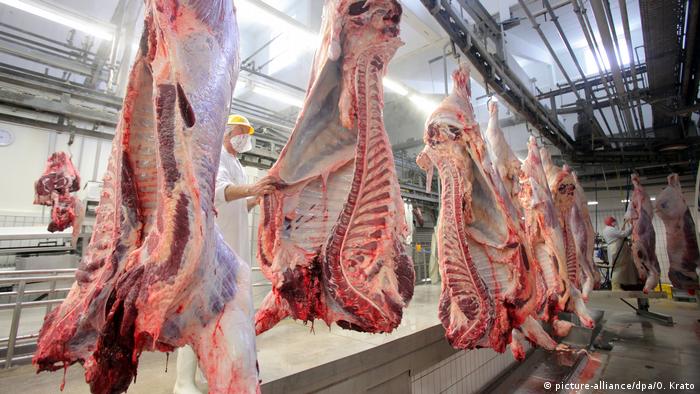 Interior view of a a beef processing plant in Germany (picture-alliance/dpa/O. Krato)
