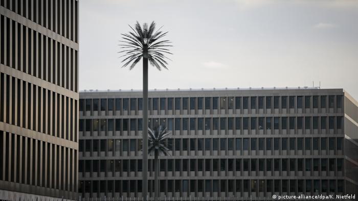 Steel palm trees at the spy HQ