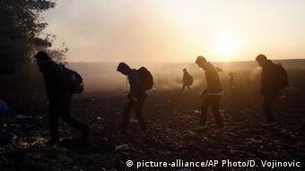 Serbien Flüchtlinge an der Grenze zu Kroatien (picture-alliance/AP Photo/D. Vojinovic)