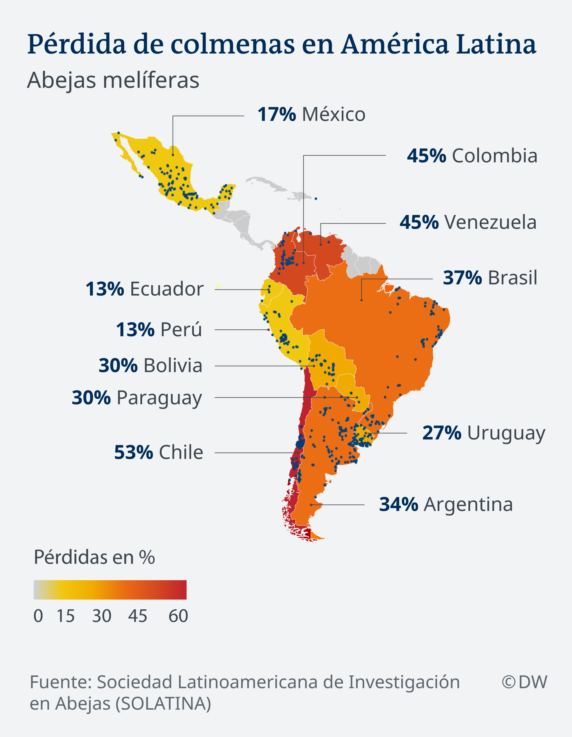 Infografik Karten Bienenstockverlust in Lateinamerika ES