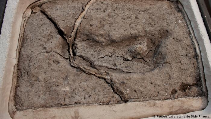 Antiker Fußabdruck aus Osorno Chile (Reuters/Laboratorio de Sitio Pilauco)