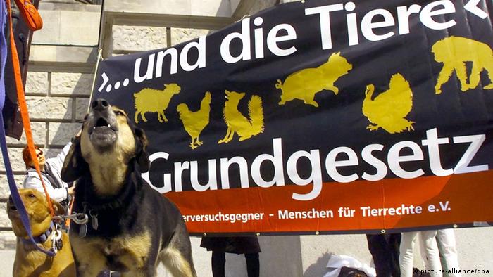 Perros ladrando ante una pancarta, donde se solicita la inclusión de los derechos de animales en la Ley Fundamental.