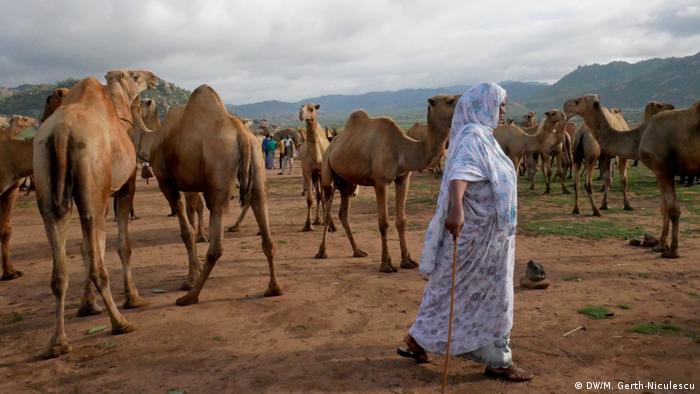 A woman walks past camels (DW/M. Gerth-Niculescu)