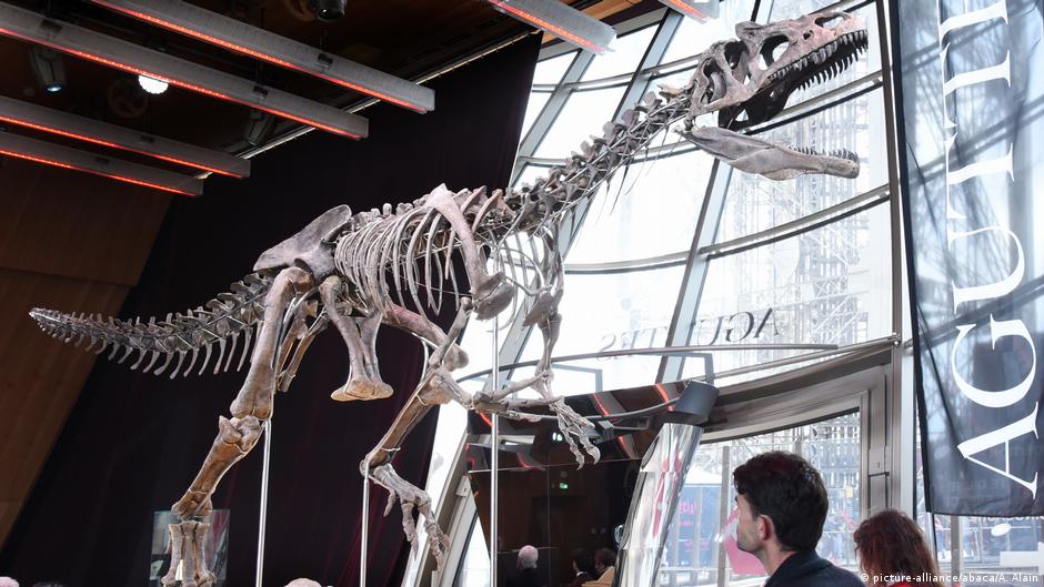 Frankreich Paris | Auktion von Dinosaurier Skelett am Eiffel Turm