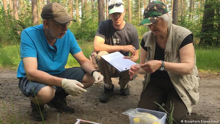 Participants inspect wolf traces as part of a tour (Biosphere Expeditions)