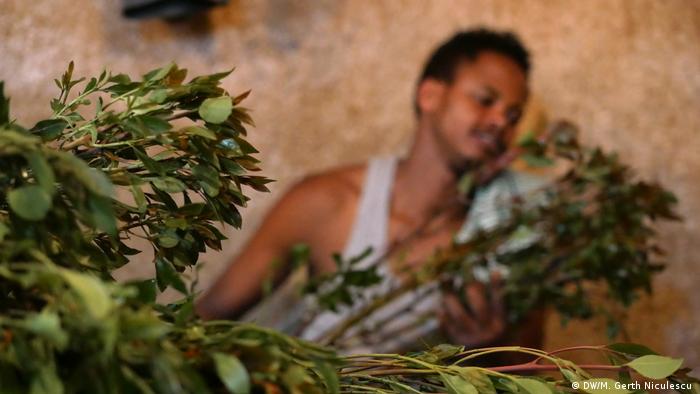 Khat leaves in the foreground, a blurred khat worker in the background (DW/M. Gerth Niculescu )