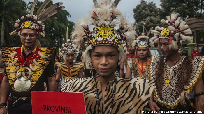Carnival of Dayak Culture Week (picture-alliance/NurPhoto/Pradita Utama)
