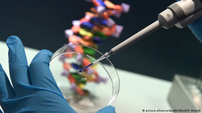 Deutschland | DNA Analyse (picture-alliance/dpa/Bildfunk/M. Brandt)