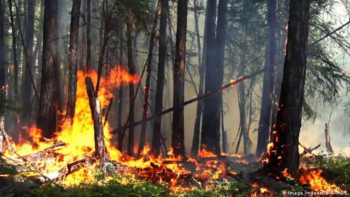Russland Waldbrände in der Region Krasnojarsk (Imago Images/ITAR-TASS)