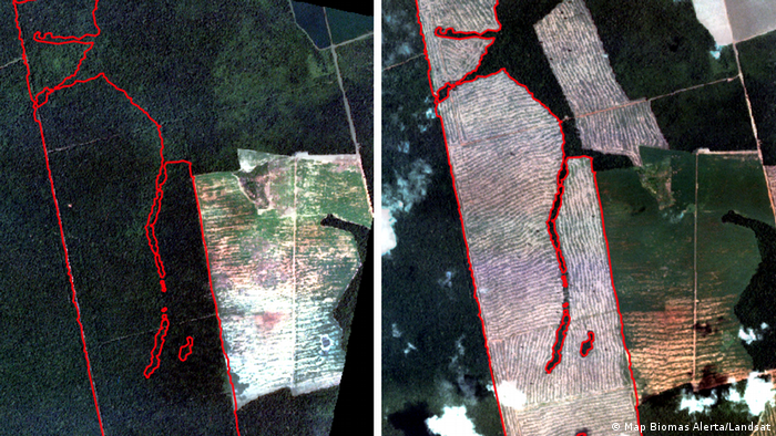 Imagem de satélite mostra área desmatada no Mato Grosso