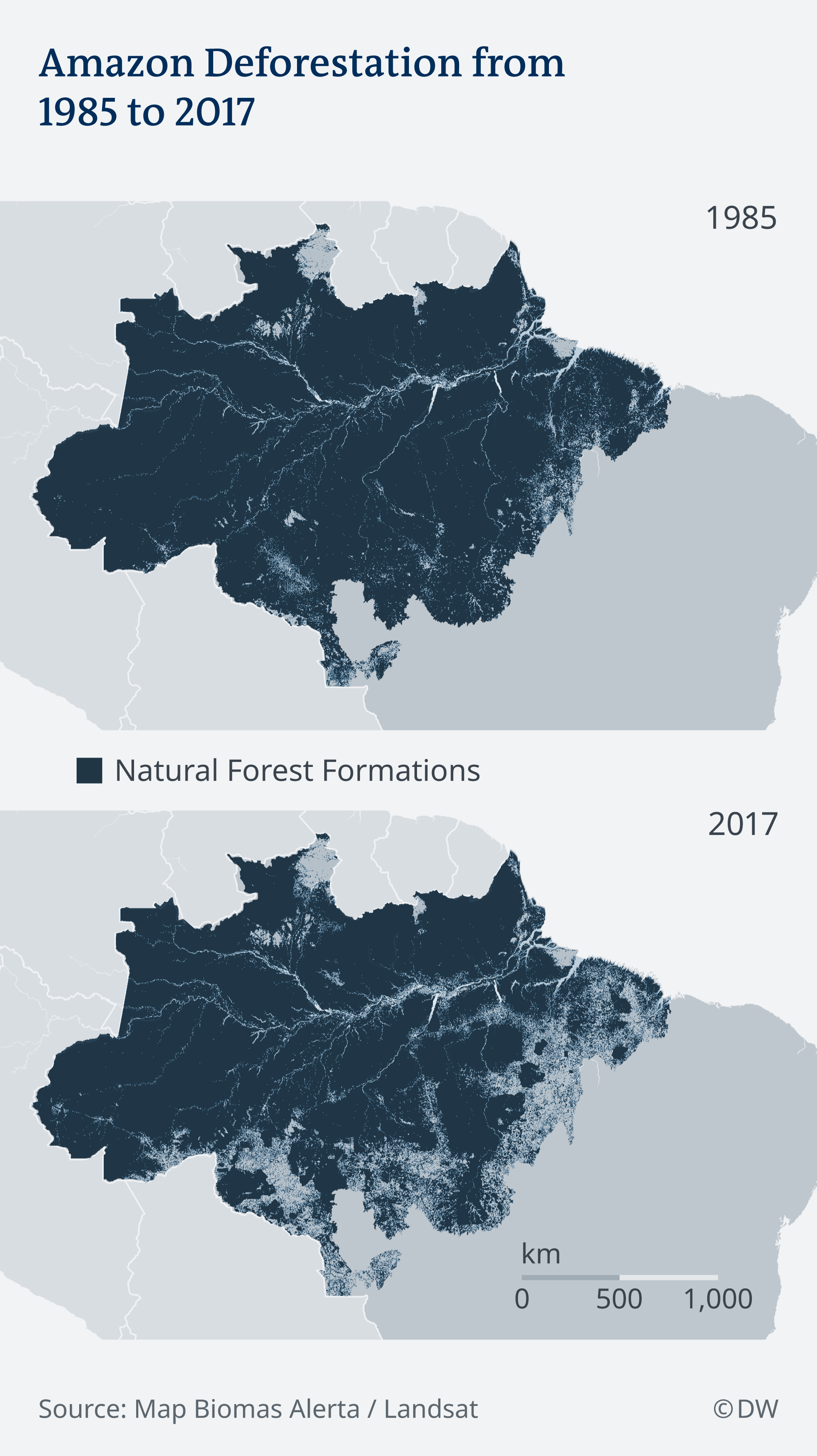 Amazon deforestation from 1985 to 2017