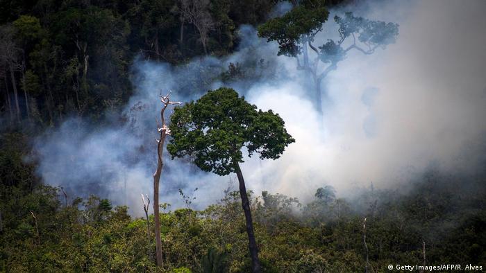 Amazonas Abholzung des Regenwaldes (Getty Images/AFP/R. Alves)
