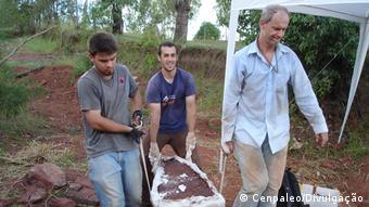 Brasilien Neue Pterosaurierart wurden entdeckt (Cenpaleo/Divulgação)