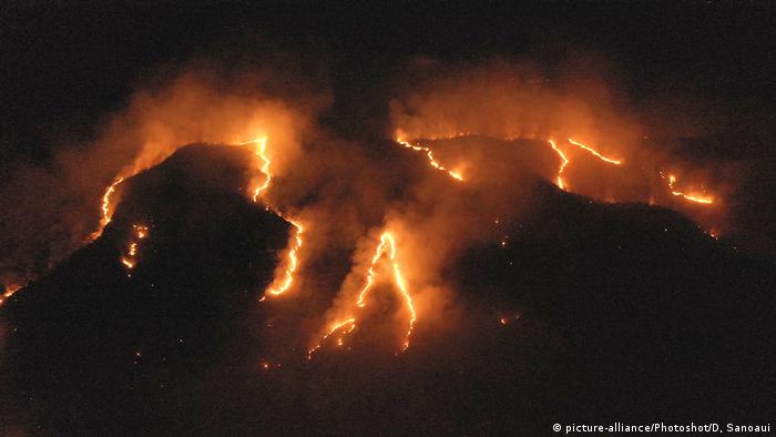 Wildfires in Brazil's Amazon rainforest (picture-alliance/Photoshot/D, Sanoaui)
