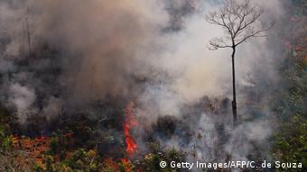 Brasilien Brände im Amazonasgebiet (Getty Images/AFP/C. de Souza)