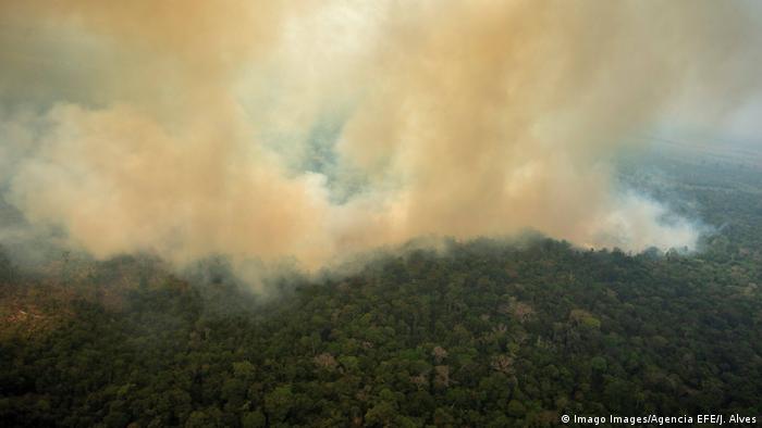 El humo espeso se extiende sobre gran parte del Amazonas. Desde el aire, se observa mejor la dramática y progresiva destrucción de la selva tropical. 