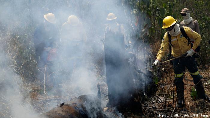 пожарные борются с огнем в лесах Амазонии