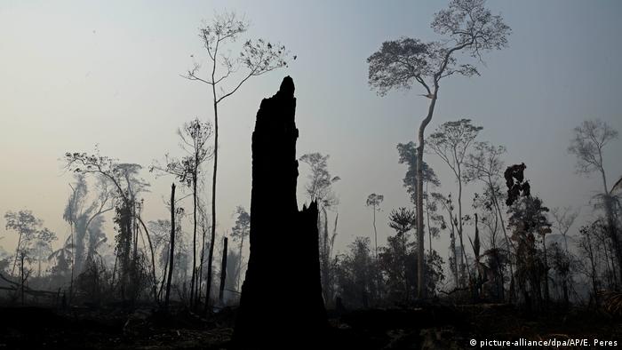 Trecho da Amazônia atingido por queimadas perto de Porto velho, em foto de agosto de 2019