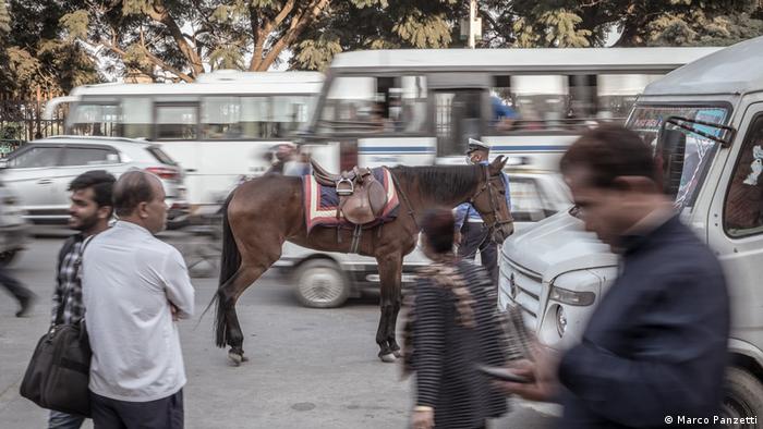 A horse and people stand amidst traffic on a busy road 