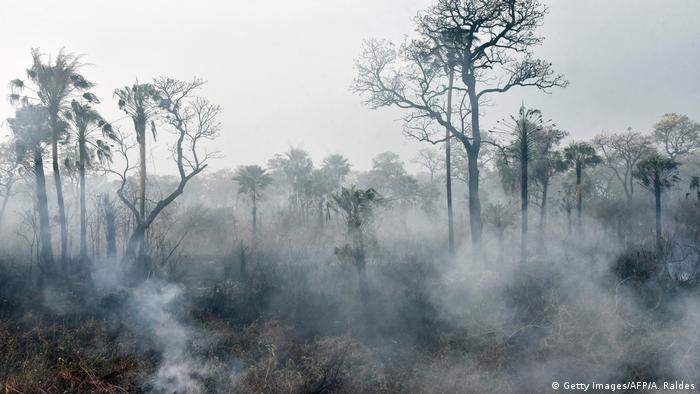 Brände im Amazonas-Gebiet (Getty Images/AFP/A. Raldes)