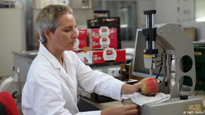 A scientist examines an apple in a laboratory (DW/T. Smith)