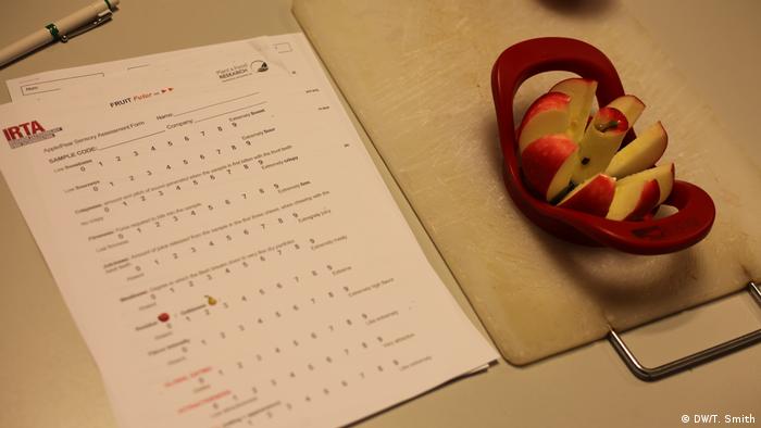 An apple cut into slices next to a scoring sheet used to rate an apple's quality