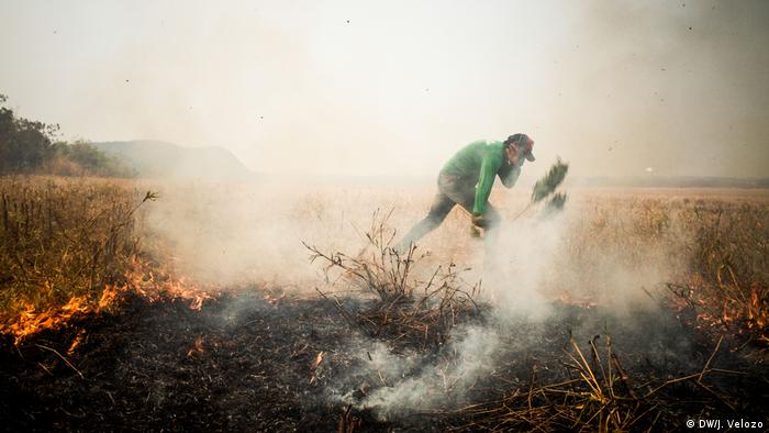A man covers his face as he beats back the flames from a wildfire