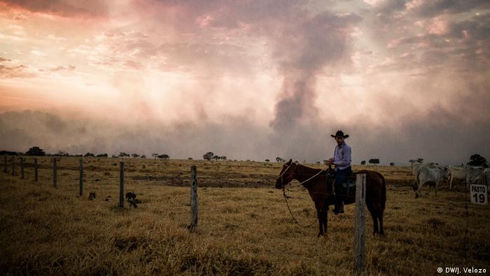 A man on horseback in a field. In the distance, smoke from fires fill the sky