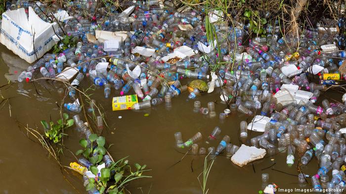 Muy a menudo, los desechos plásticos terminan en el medio ambiente.