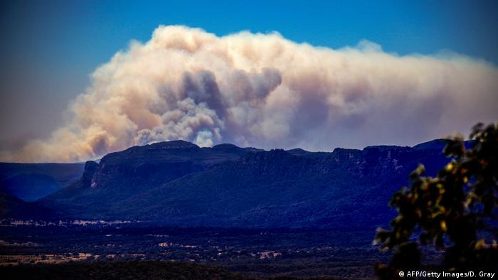 Waldbrände in Australien (AFP/Getty Images/D. Gray)