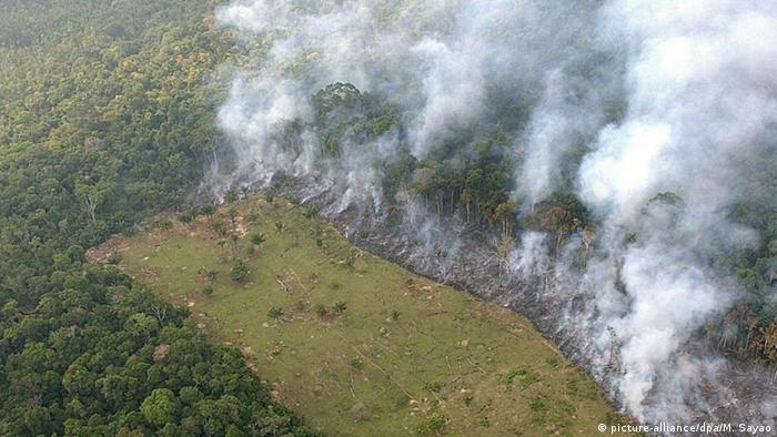 Queimada na Floresta Amazônia vista do ar