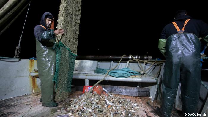 Fishermen unloading nets on a boat