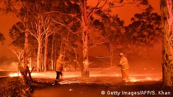 Waldbrände in Australien (Getty Images/AFP/S. Khan)