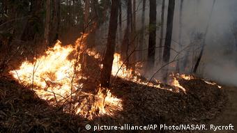Australien Waldbrände (picture-alliance/AP Photo/NASA/R. Rycroft)