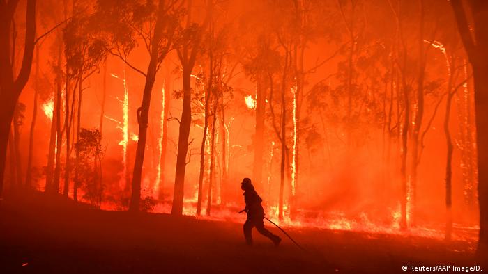 Лесные пожары в Австралии 