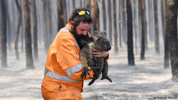 Waldbrände / Buschbrände in Australien (Imago/D. Mariuz)