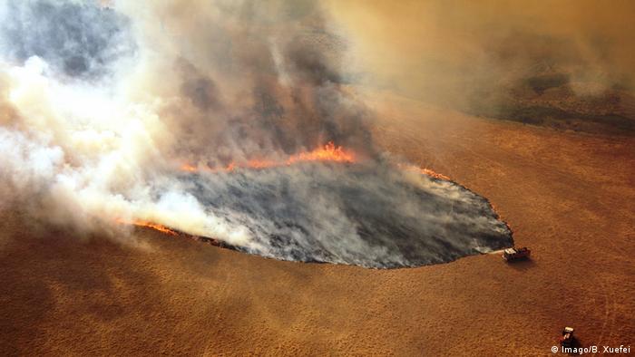 Waldbrände / Buschbrände in Australien (Imago/B. Xuefei)